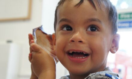 Mini INSET Session: Schemas