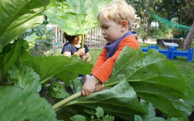 Case Study – Outdoor Learning for Childminders