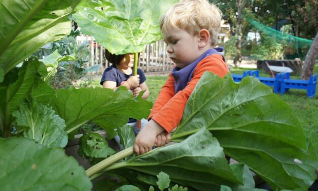 Case Study – Outdoor Learning for Childminders