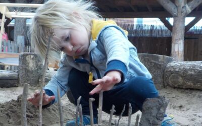 A Phonics for Mathematics? by Robin Taylor