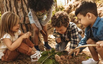 Case Study – Focus on EDI and Belonging