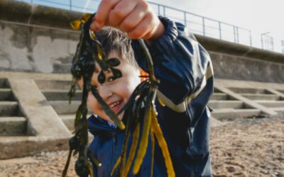Case Study – Beach School