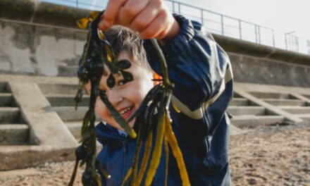 Case Study – Beach School