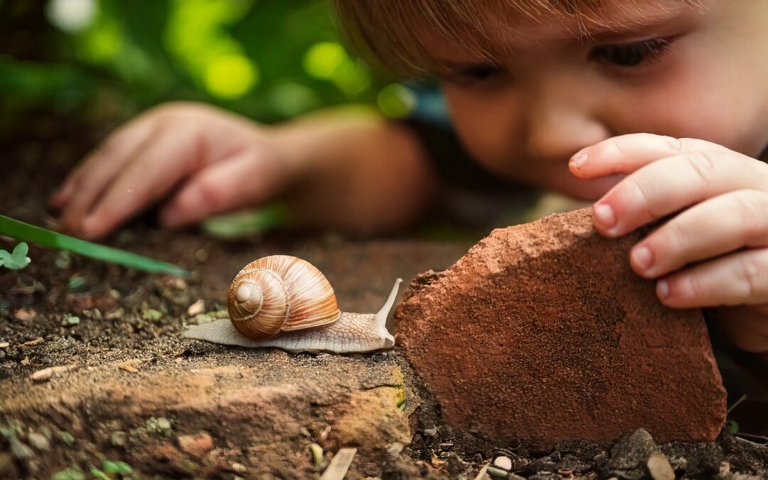 Sowing Seeds for the Future: Education for Sustainability for Childminders and Early Years Settings by Millie Colwey