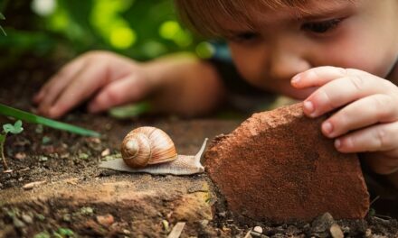 Sowing Seeds for the Future: Education for Sustainability for Childminders and Early Years Settings by Millie Colwey